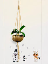 Load image into Gallery viewer, Coconut Plant Hanger-Minimalist Scandinavia decor
