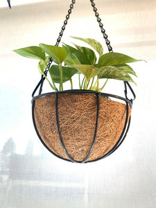 6.7" Hanging Coconut Basket Planter
