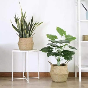 Handwoven Plant Basket